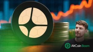 Mr Beast Invest On $Aster