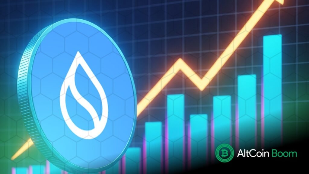 SUI ANALYSIS