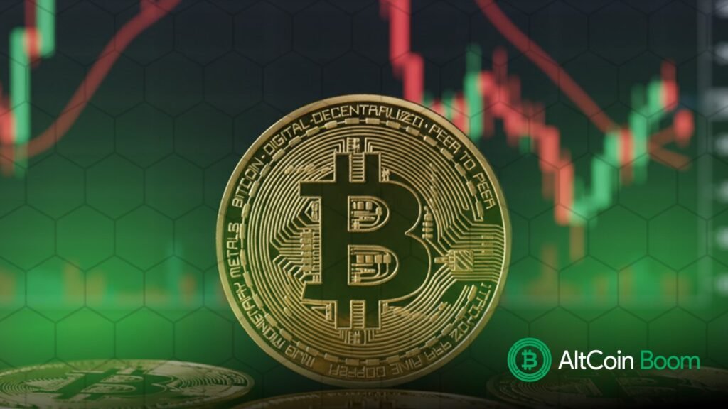 Analysts Warn of Early Bear Market for Bitcoin as Short-Term Bounce Fails to Materialize