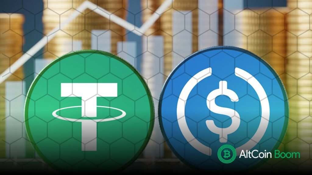Are Stablecoin Flows Fueling Speculative Leverage Rather Than Organic Crypto Demand?