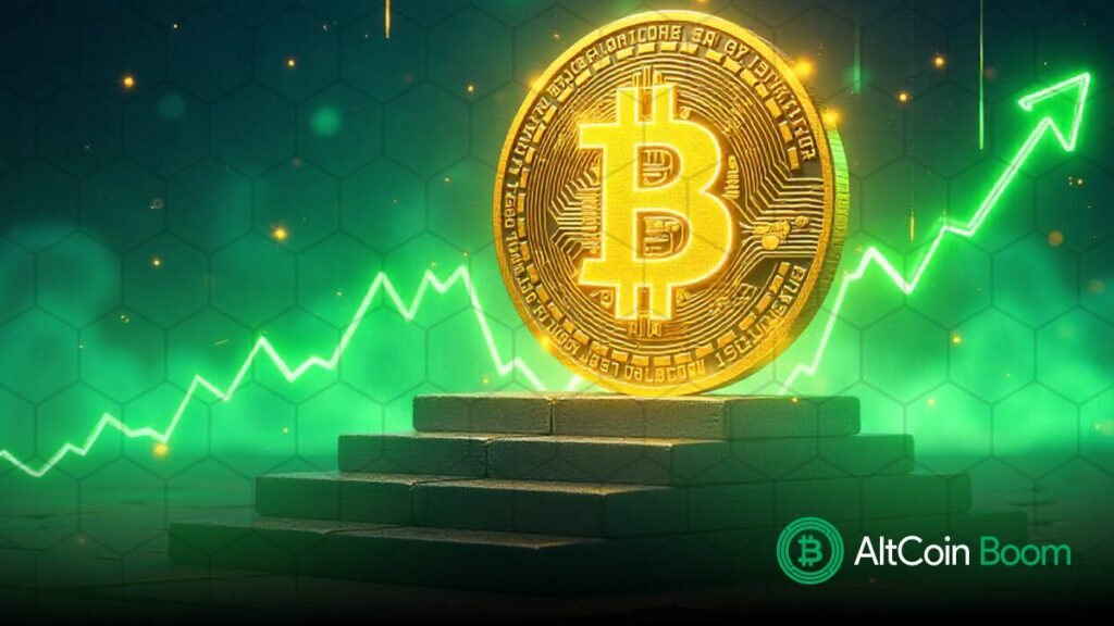 Is Bitcoin’s Bull Run Really Over, or Just Entering a New Era?